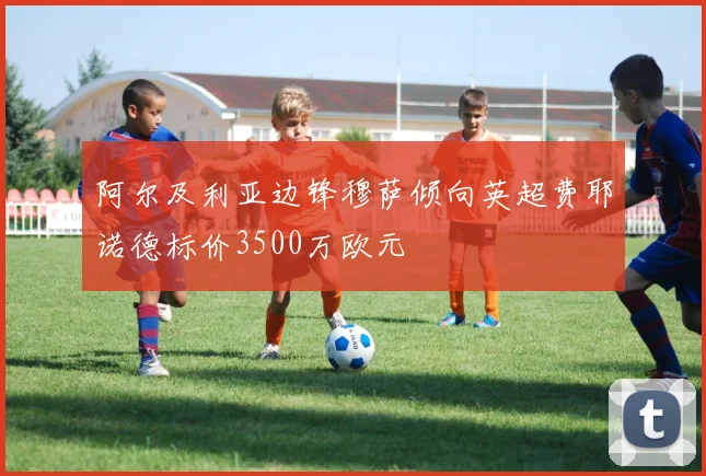 阿尔及利亚边锋穆萨倾向英超费耶诺德标价3500万欧元